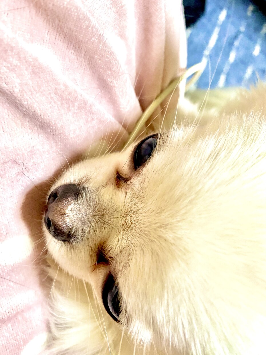 女性限定で話し相手になります ラウンジのママ歴20年以上！関西弁です！ イメージ2