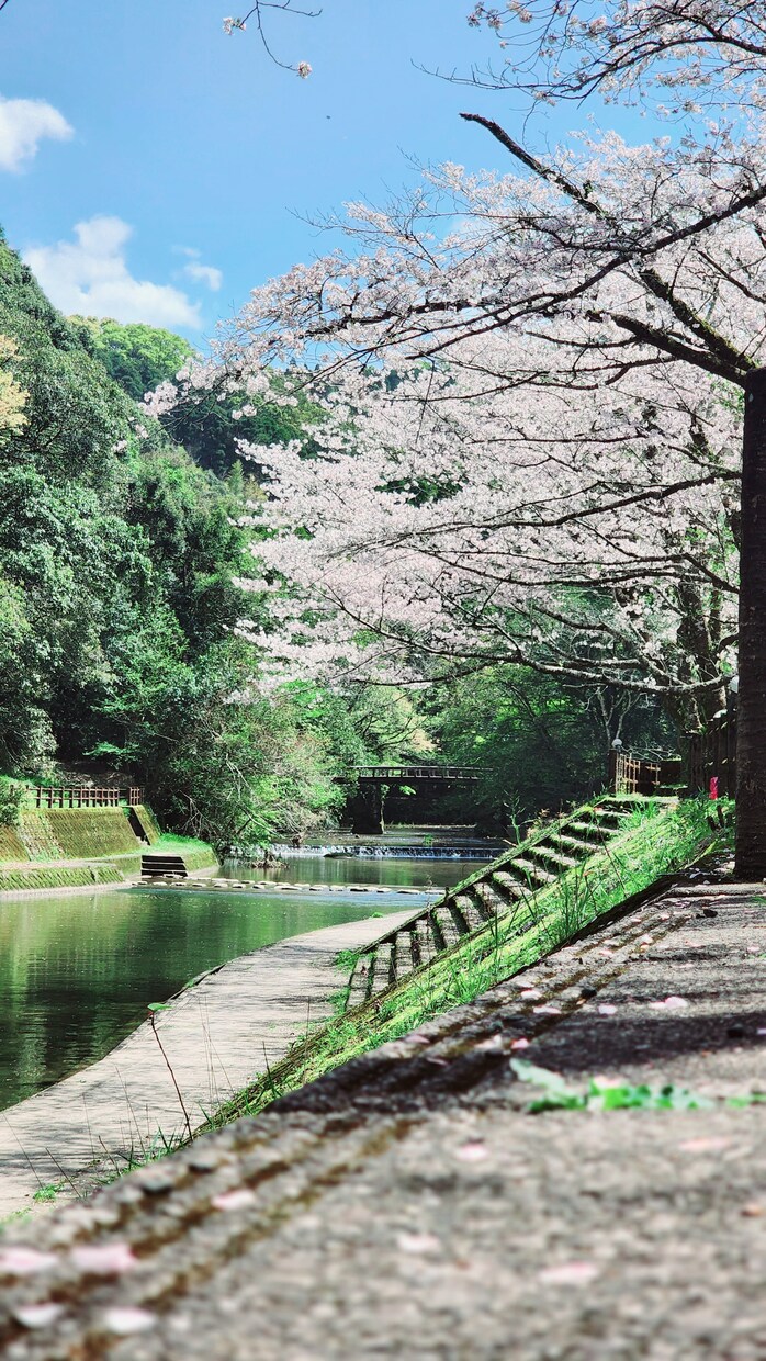 自然や日常の一瞬一瞬の景色を納めてます 自然や日常の景色、まばたきの瞬間 イメージ4