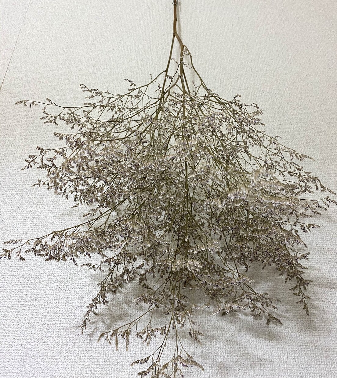 誰でも作れちゃうドライフラワー教えます 2ステップでちょー簡単！まさかの"アレ"を使います！！ イメージ3