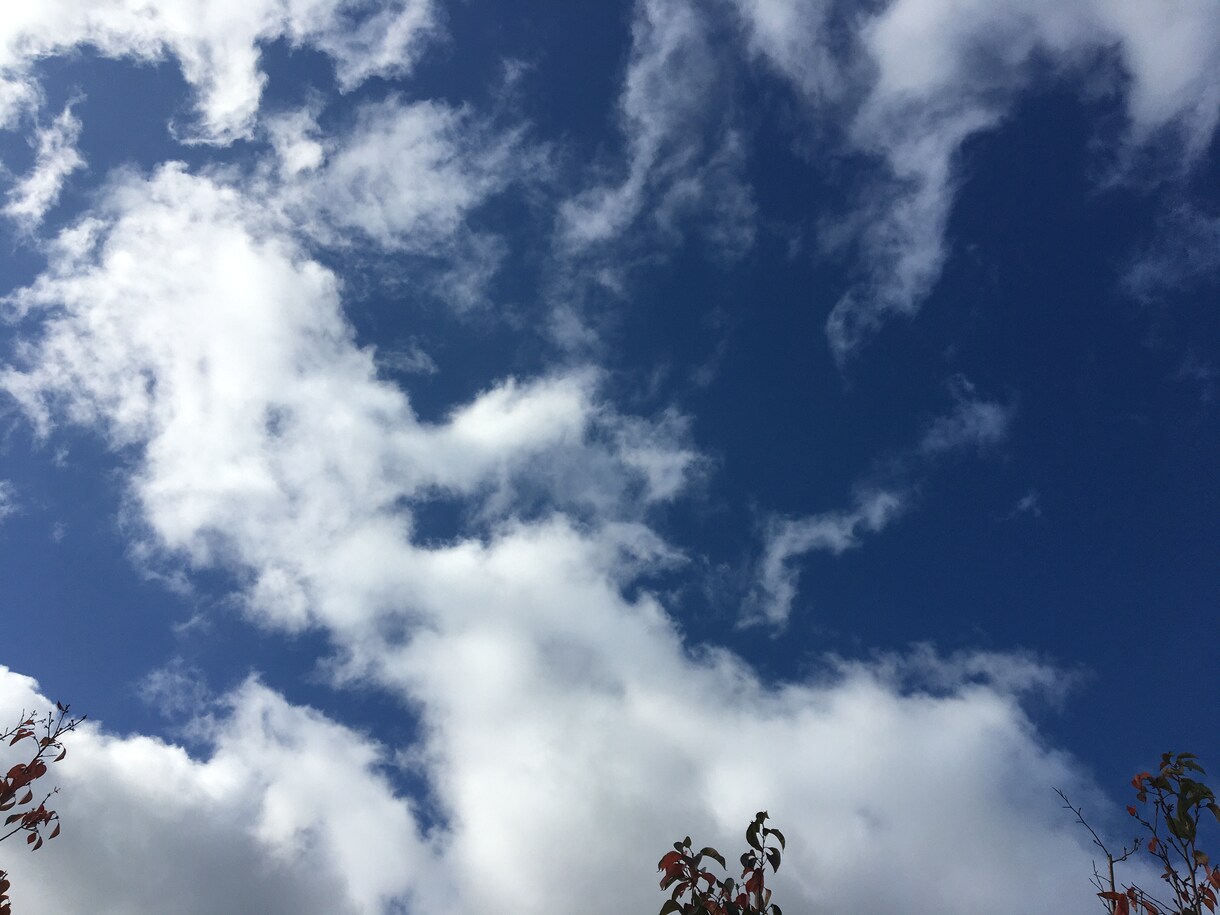 誰かに聞いてほしい悩み・雑談、なんでもお聞きします ゆっくりとやりとりができる５往復。お気軽にどうぞ(^^) イメージ1