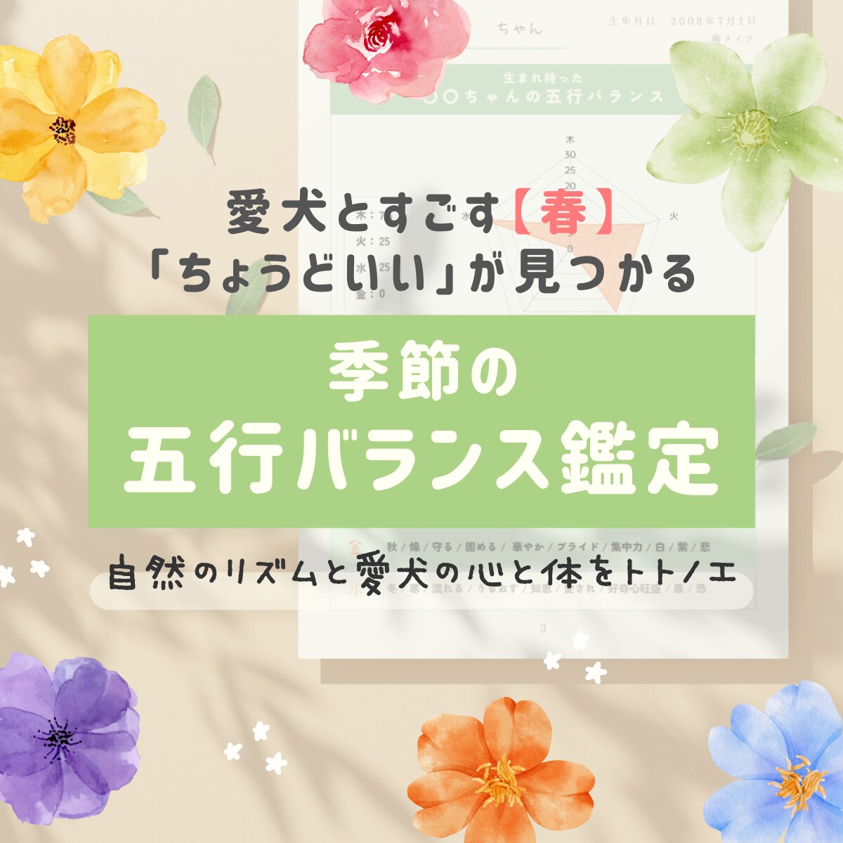 春のエネルギーと愛犬の生まれ持つ五行をひも解きます 愛犬に寄り添ったケアを取り入れて、暖かく幸せに包まれた春に イメージ1