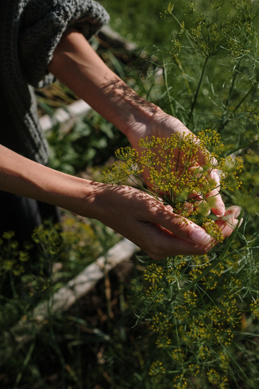 植物の話、します 植物好きな方、お話ししましょ！ イメージ1