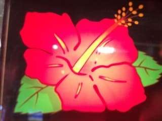 ハナハナのオカルトを紹介します。 イメージ1