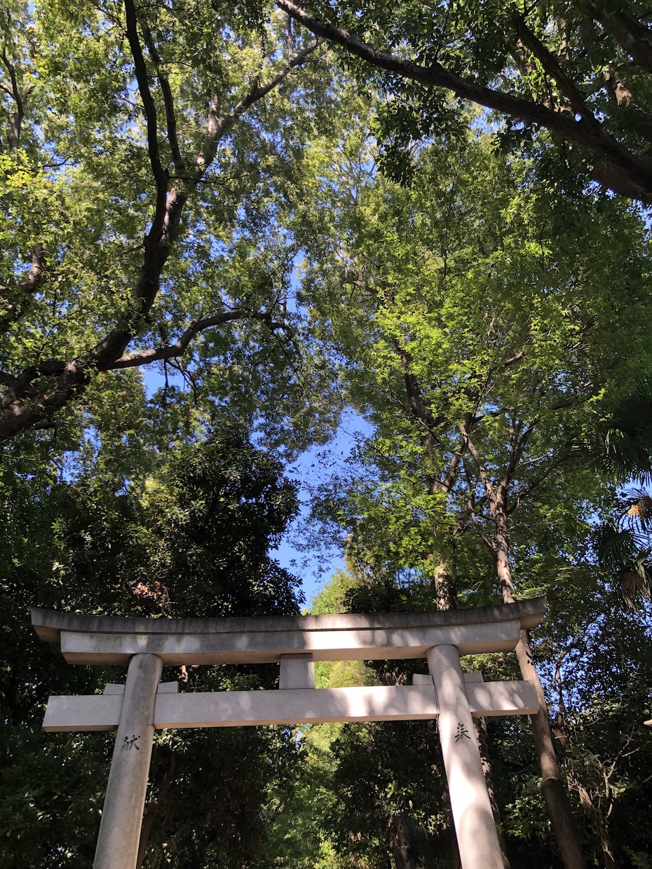 あなたにワンポイントアドバイスいたします 本当に大切な一言はシンプル！リーディングしてお伝えします！ イメージ2