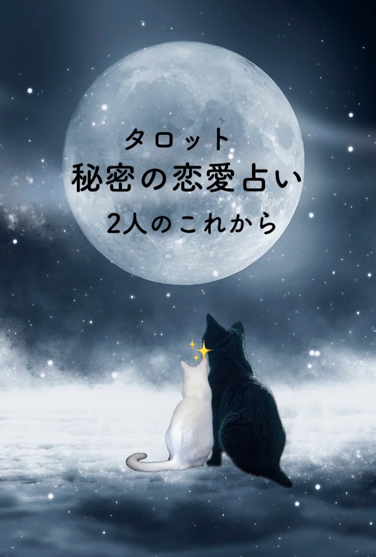 秘密の恋・あなたの幸せの行方を占います ☆切なく辛い気持ちを優しく解きほぐすお手伝いをします。 イメージ1