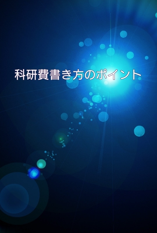 科研費の書き方ポイントをまとめた資料を提供します 研究計画調書の書き方ポイントを示した資料 イメージ1