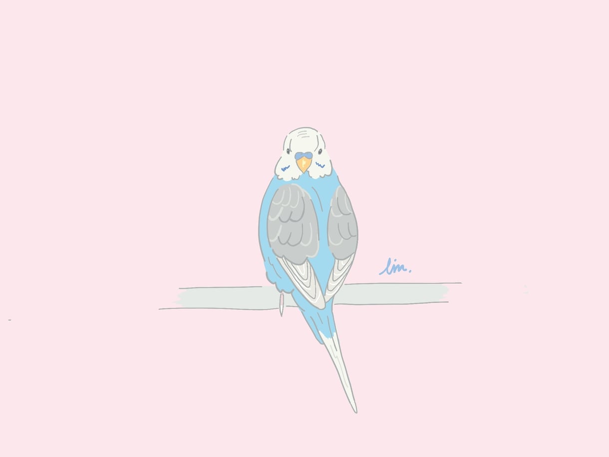 商用可☆鳥さんのおしゃれなイラストを2枚描きます SNSやブログのアイコンやプレゼントなどにどうぞ♪ イメージ3