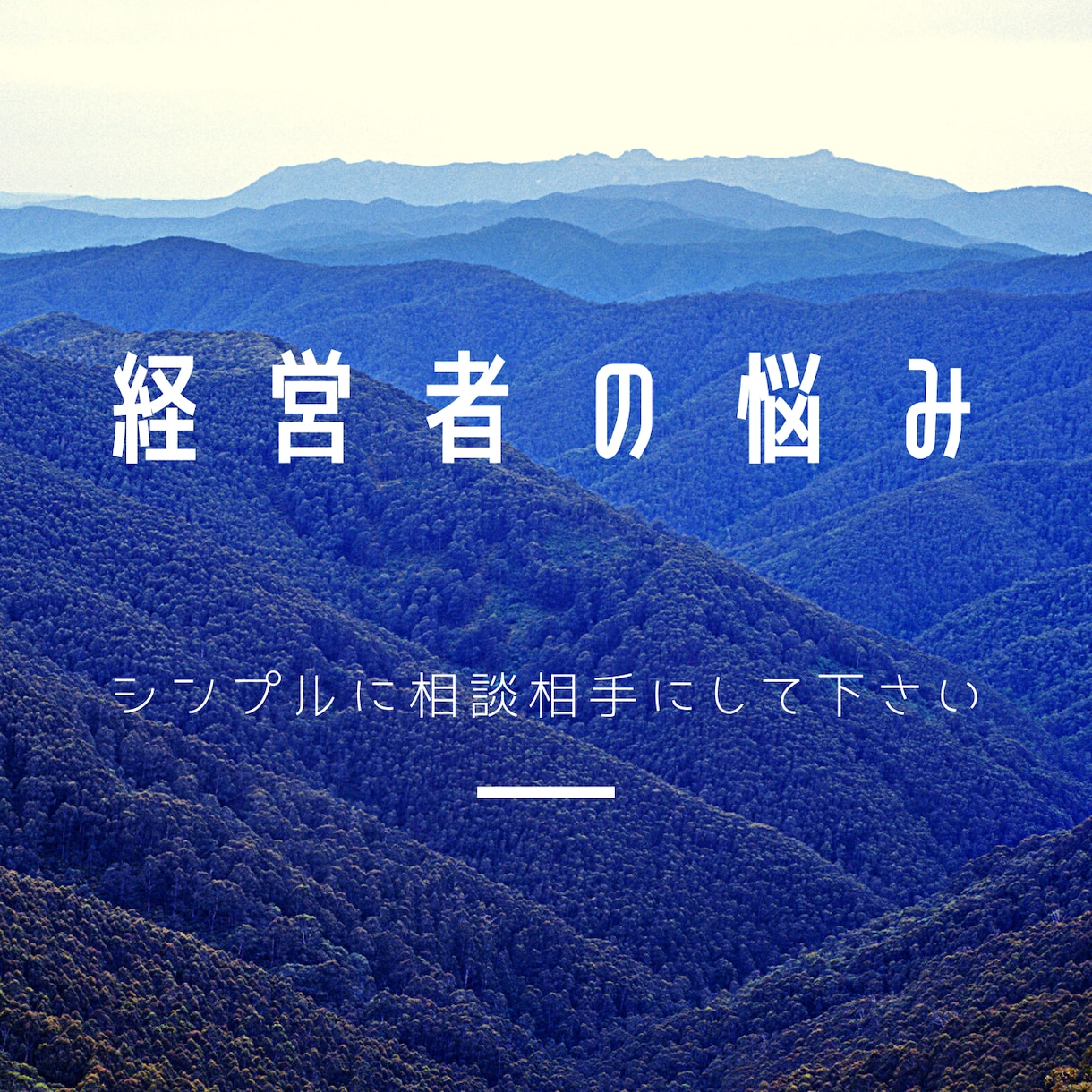 独りで悩んでいる経営者のご相談にのります ～廃業経験も乗り越えた現役経営者だから言える事があります～ イメージ2