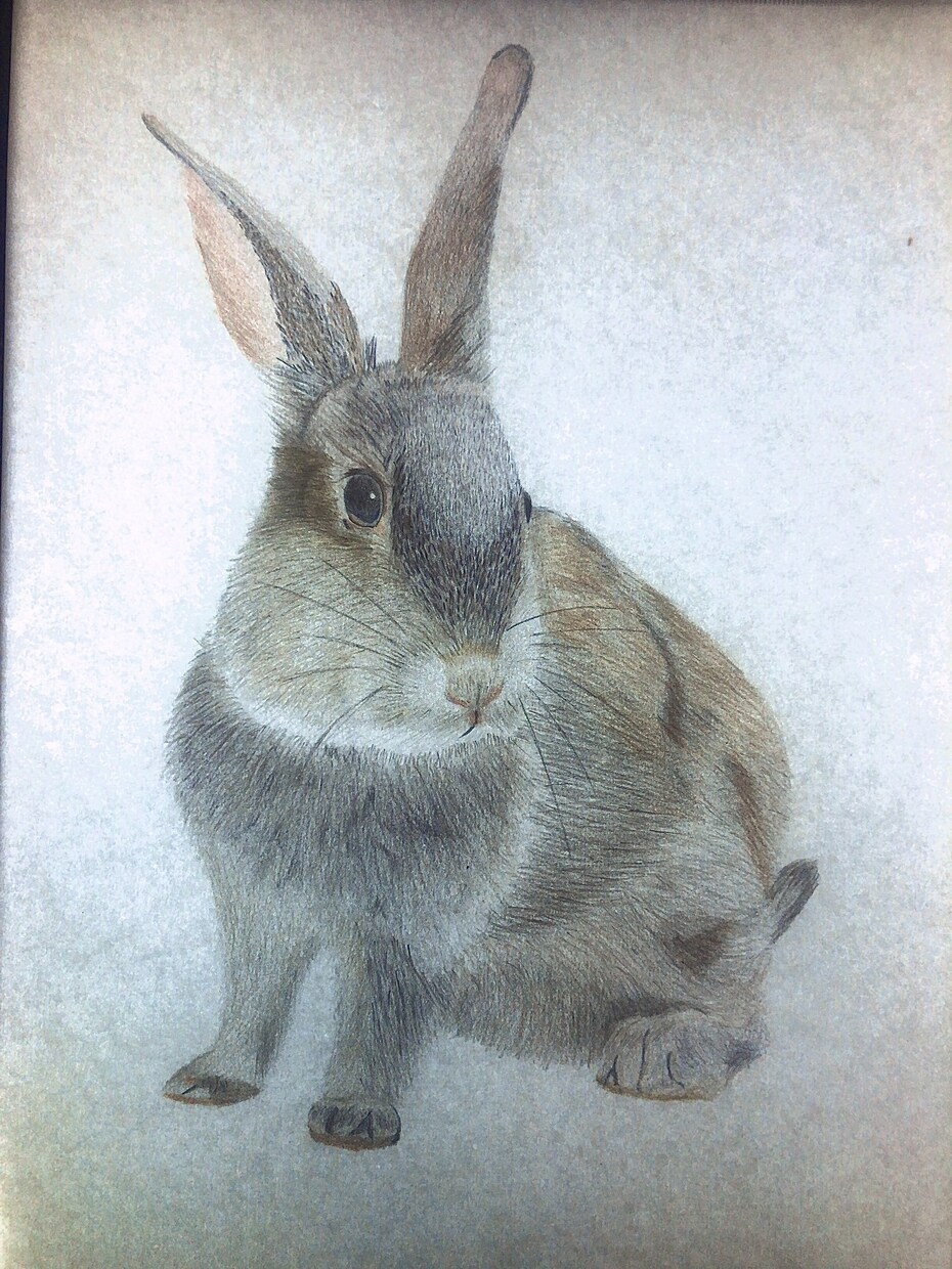 ペットや動物を色鉛筆でリアルに描きます ペットの思い出づくりにいかがですか？ イメージ2