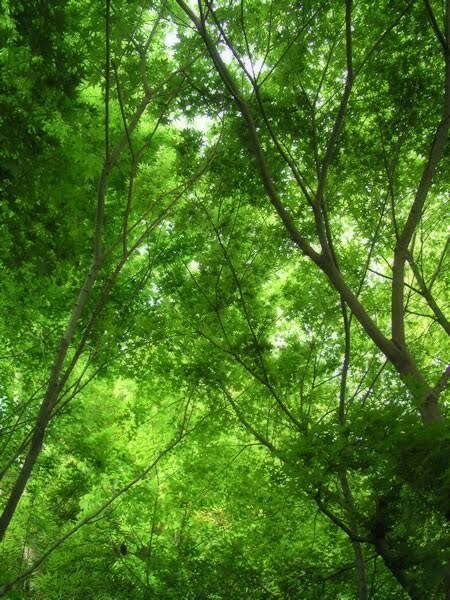 毒親との関係・お悩み聴きます もっと甘えたかったあなた、ほめて欲しかったあなたへ。 イメージ1