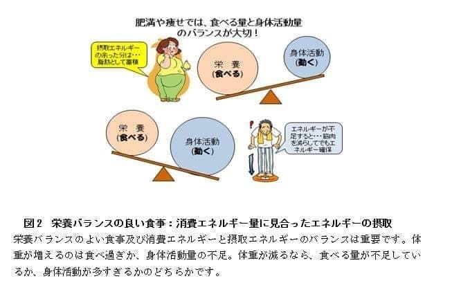 英⇄日 翻訳★無料Wネイティブチェックで翻訳します リピーター割引あり！丁寧・迅速・心が通う翻訳をお約束！ イメージ3