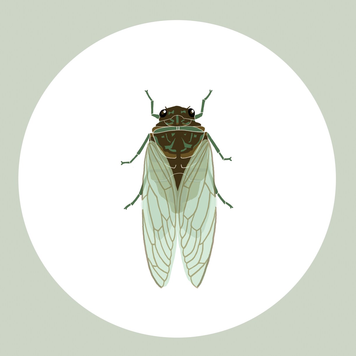 WEB素材やチラシ・挿絵用のイラスト制作いたします 虫や魚などのイラスト描きます！ イメージ8