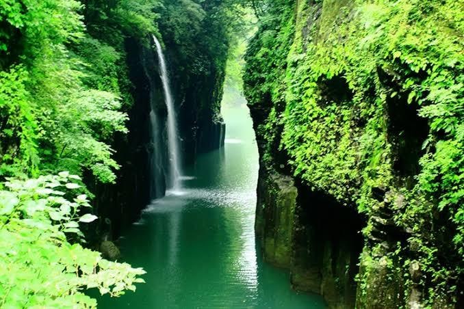 初回ワンコイン鑑定⭐️天照大神様❤️の力で観ます 霊感・霊視で最速30分以内に相手の気持ちや未来を鑑定します イメージ3