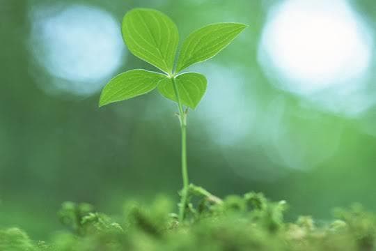 あなたの気持ちに寄り添います 悩み相談、お話し相手、ただ話を聞いてほしいときに。 イメージ2