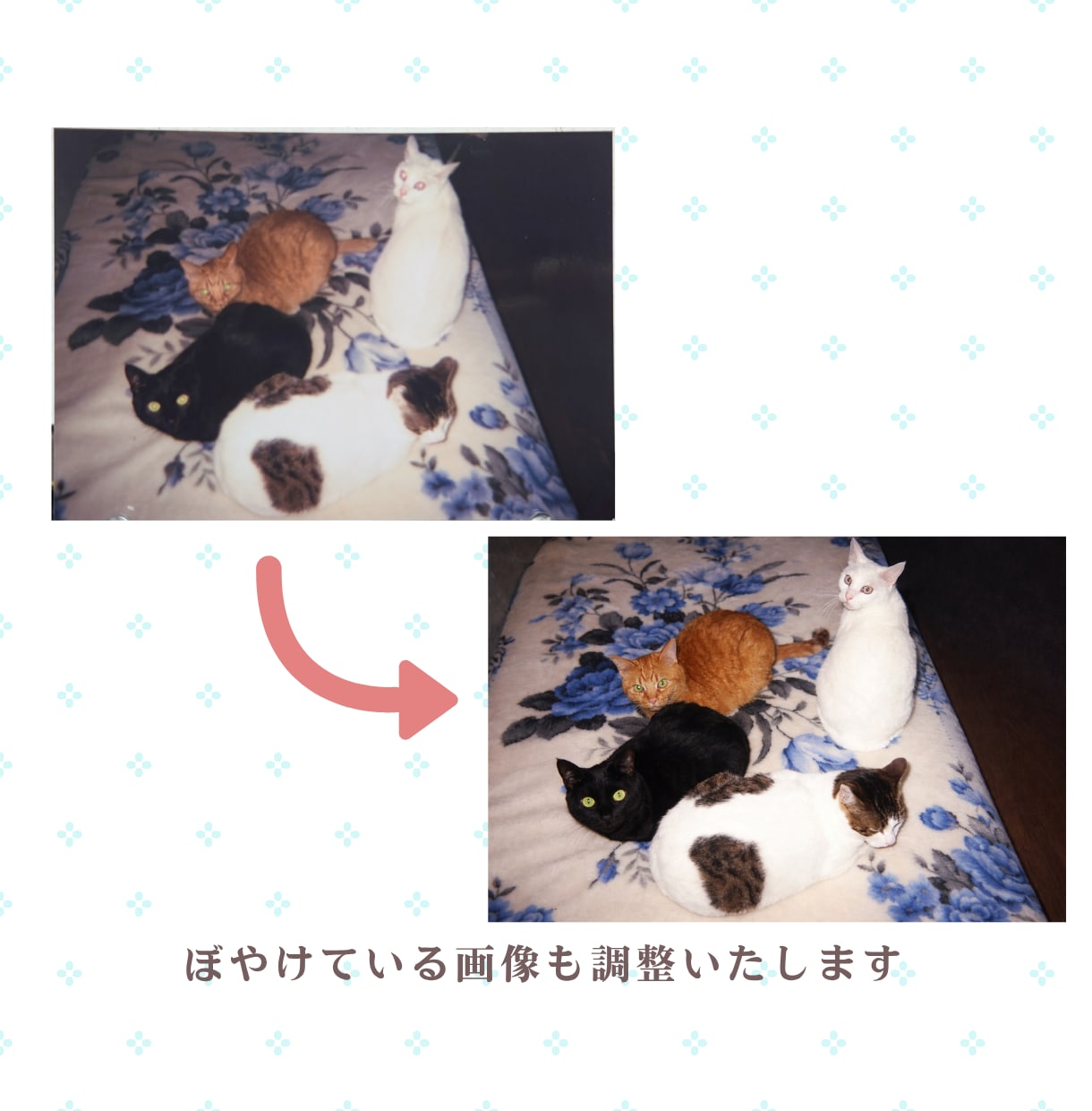愛犬愛猫を優しい水彩画にします 評価★5御礼！！！記念日ギフトやインテリアにオーダーイラスト イメージ9