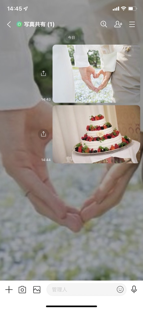 あなた専用の結婚式LINE招待状・席次表作成します 誰もが使っているLINEで結婚式の事前や当日の案内を便利に！ イメージ9