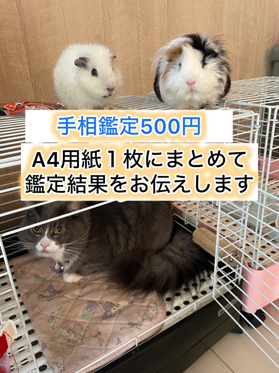 A4用紙手相鑑定で、過去〜現在〜未来を占いします 手相鑑定、誰かのお役に立てれば幸いです イメージ1