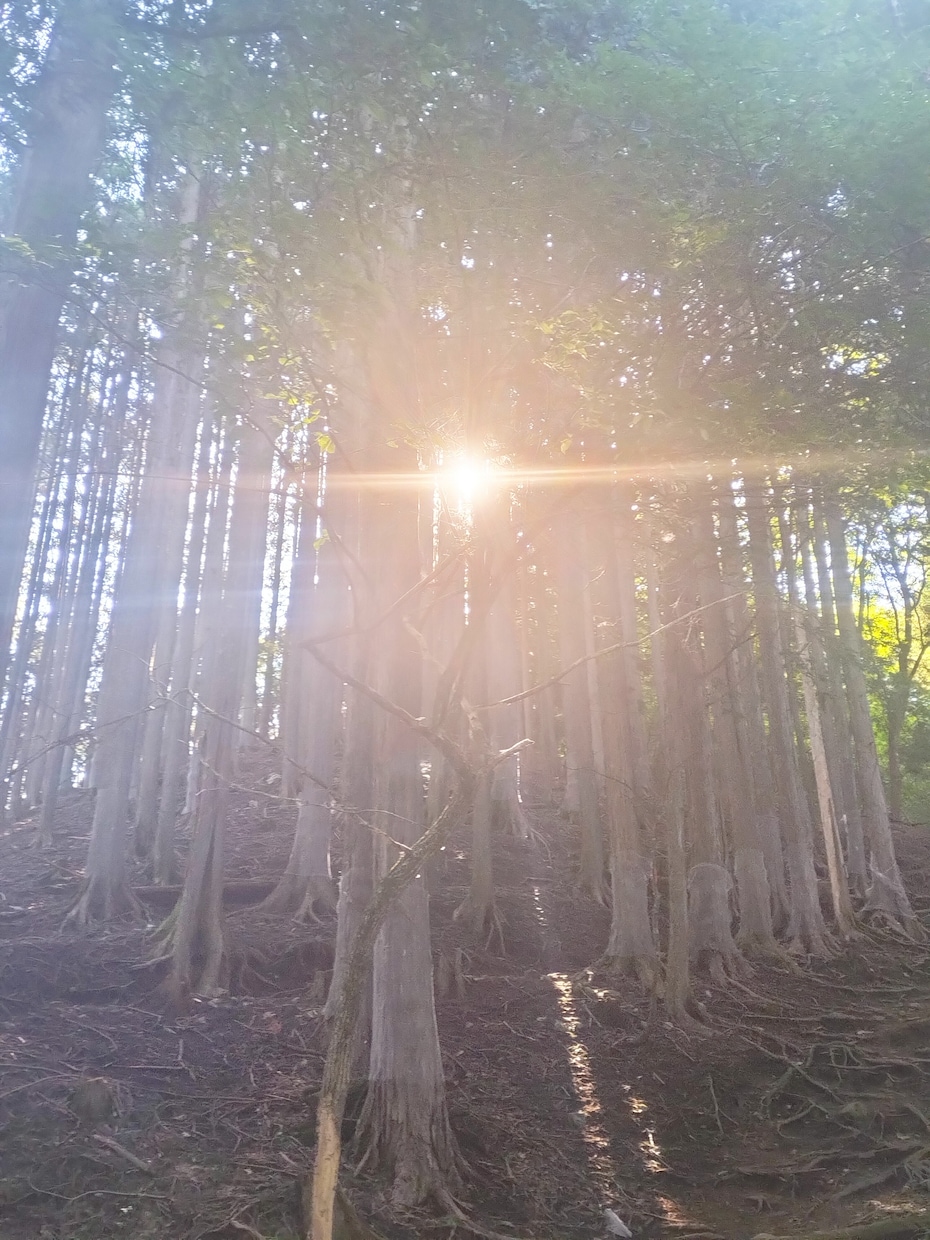 霊感と霊視で占います 片思い、不倫、友達以上恋人未満、人間関係、相手の想い.. イメージ3