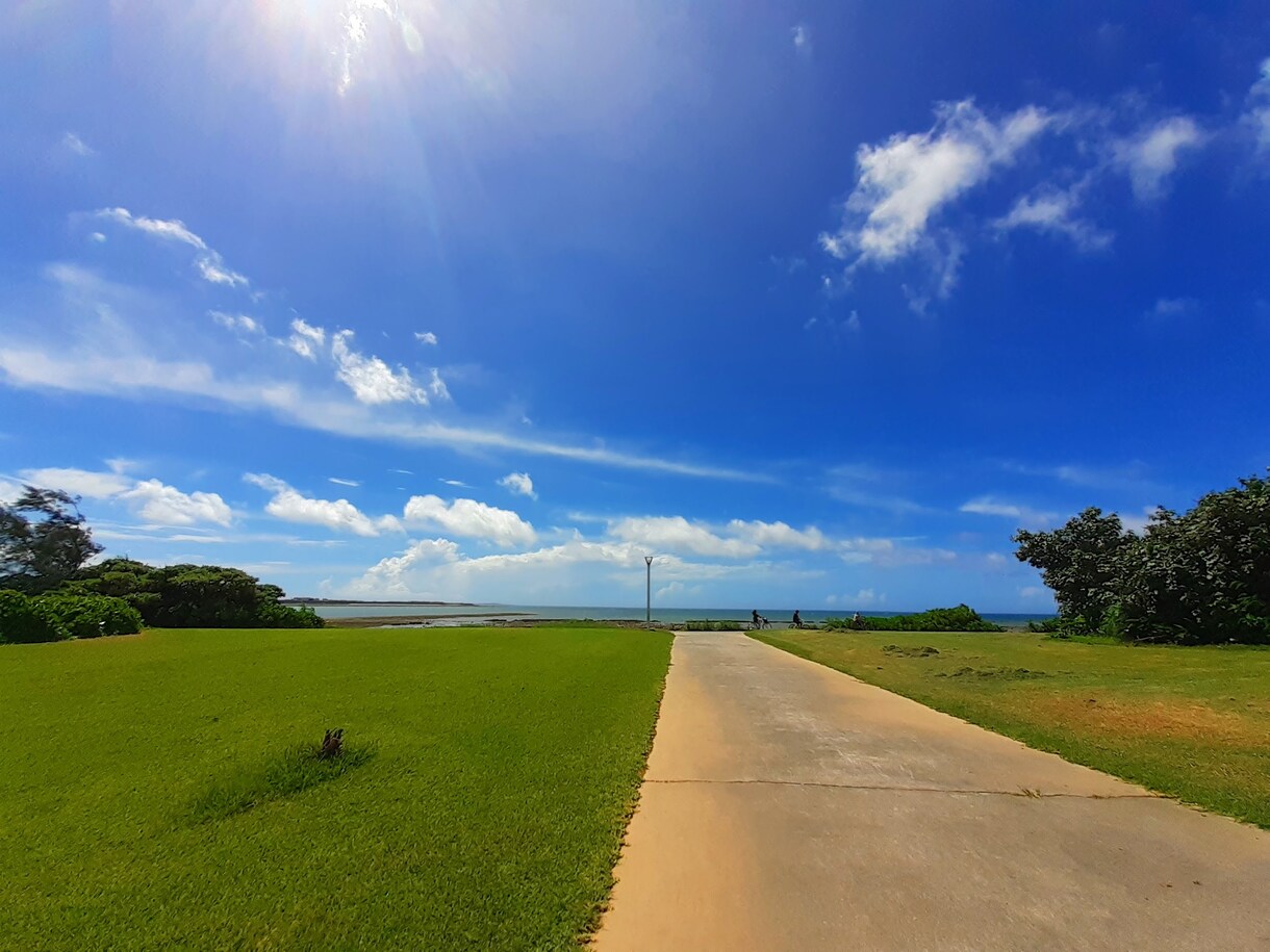 沖縄の風景や自然の写真の対象指定撮影を承ります 逆光に透過された葉の美、沖縄らしい写真 イメージ2