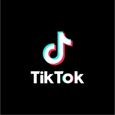 💬ココナラ｜TikTok【フォロワー】+1,000人増やします   NONAME7  
                4.8
            …