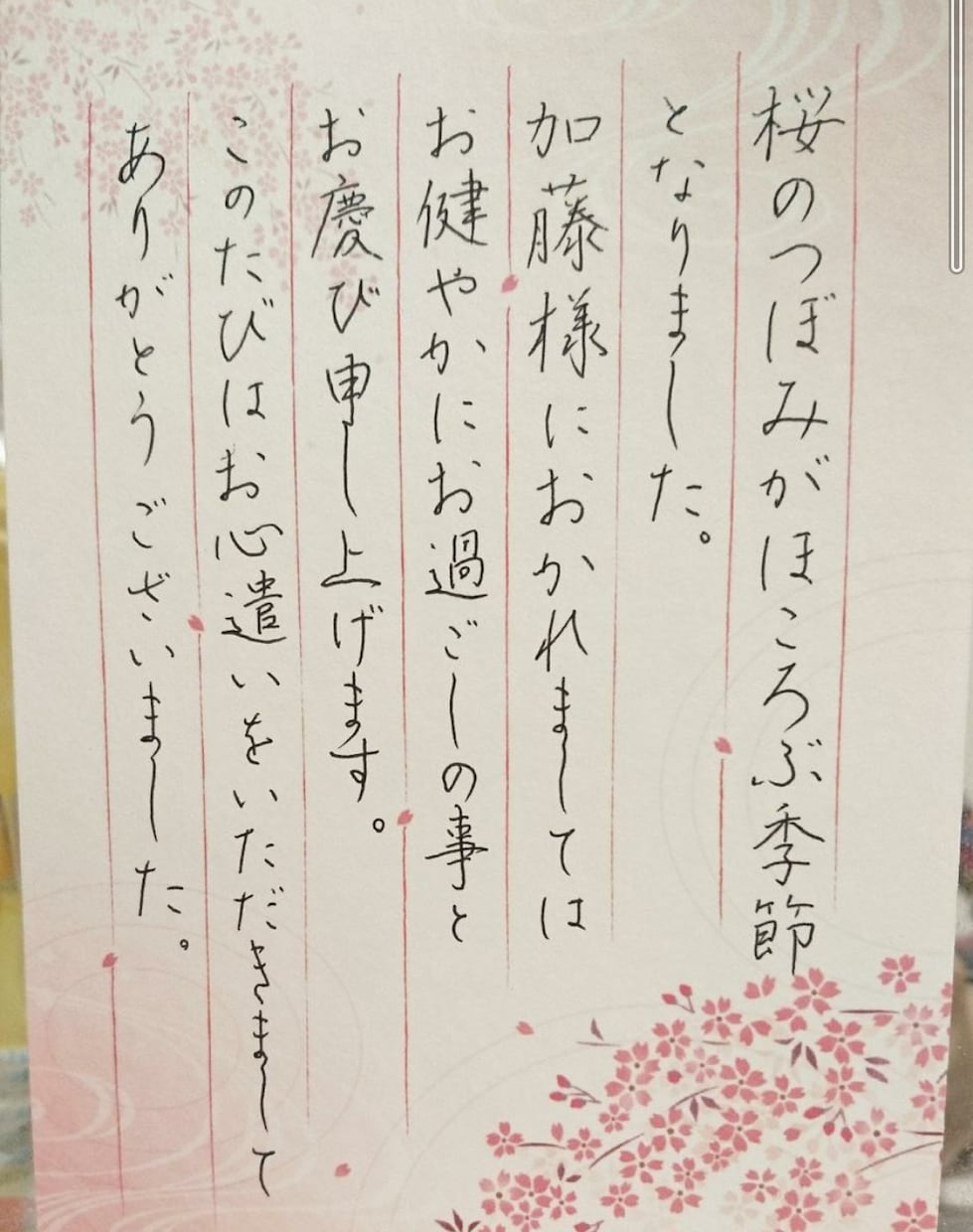 美文字講座2回パック★あなたの文字を添削指導します お手本付き！ビデオチャットで一緒に美文字を目指しましょう！ イメージ2