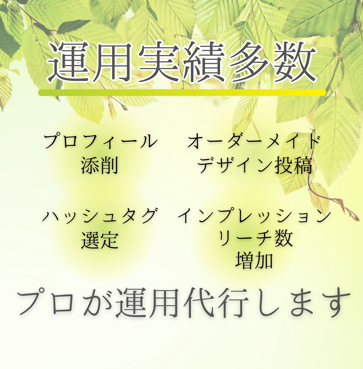 全て手作業で丁寧にインスタ運用代行します ただの作業じゃない！あなたやあなたの商品の魅力を最大化！ イメージ1