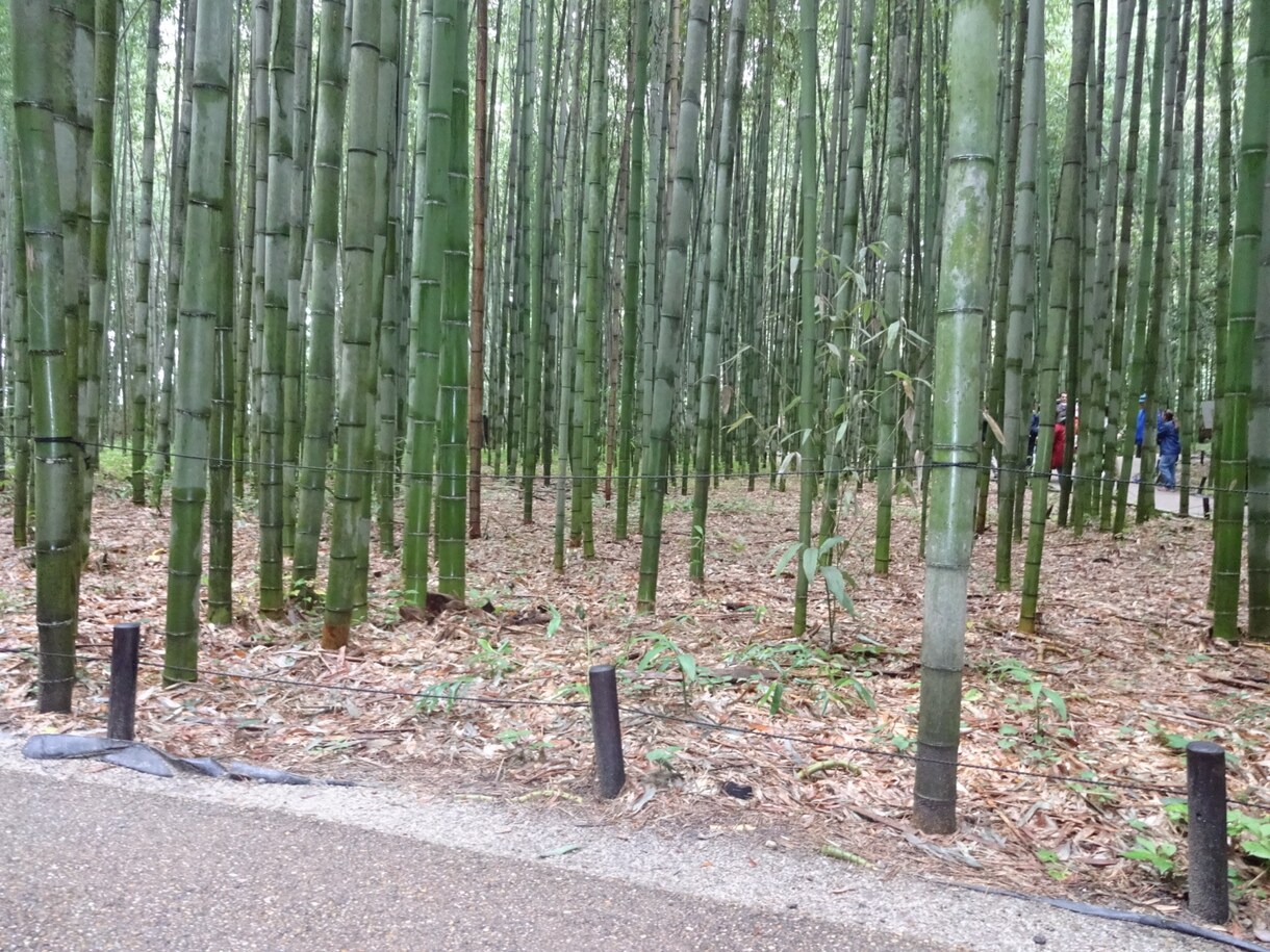 どんな文章も作成致します 何をどう書けばいいのかわからない！という方におすすめです！ イメージ1