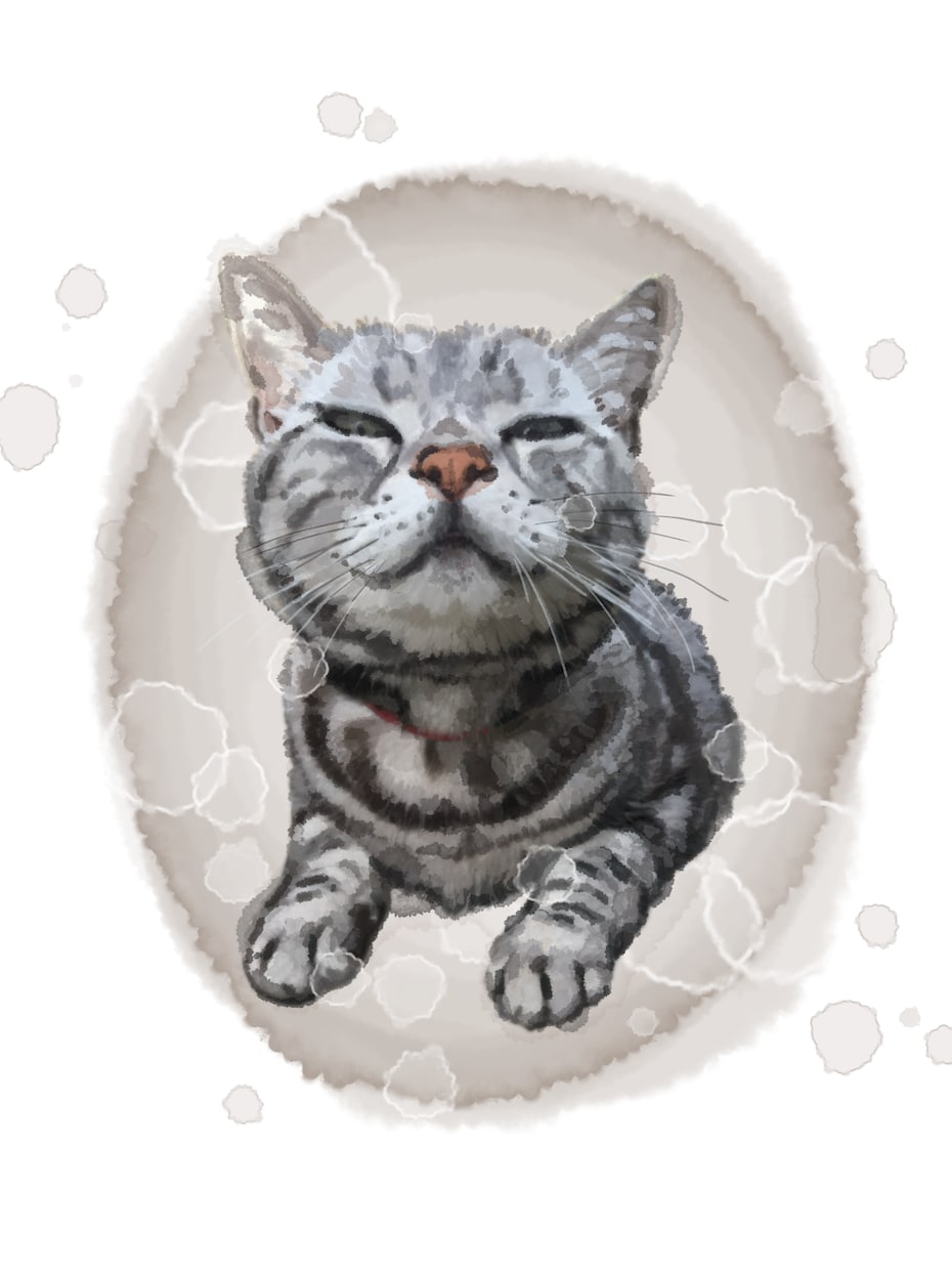 ペットの似顔絵をふんわり優しい水彩画風で作ります 練習期間のため7/31まで値下げ中！ デジタルデータ納品 イメージ2
