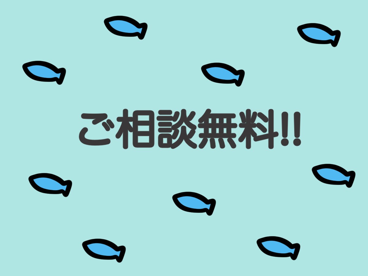 個人限定‼︎ 記帳&確定申告をサポートします 確定申告で必要な帳簿を丁寧に作成します。 イメージ6