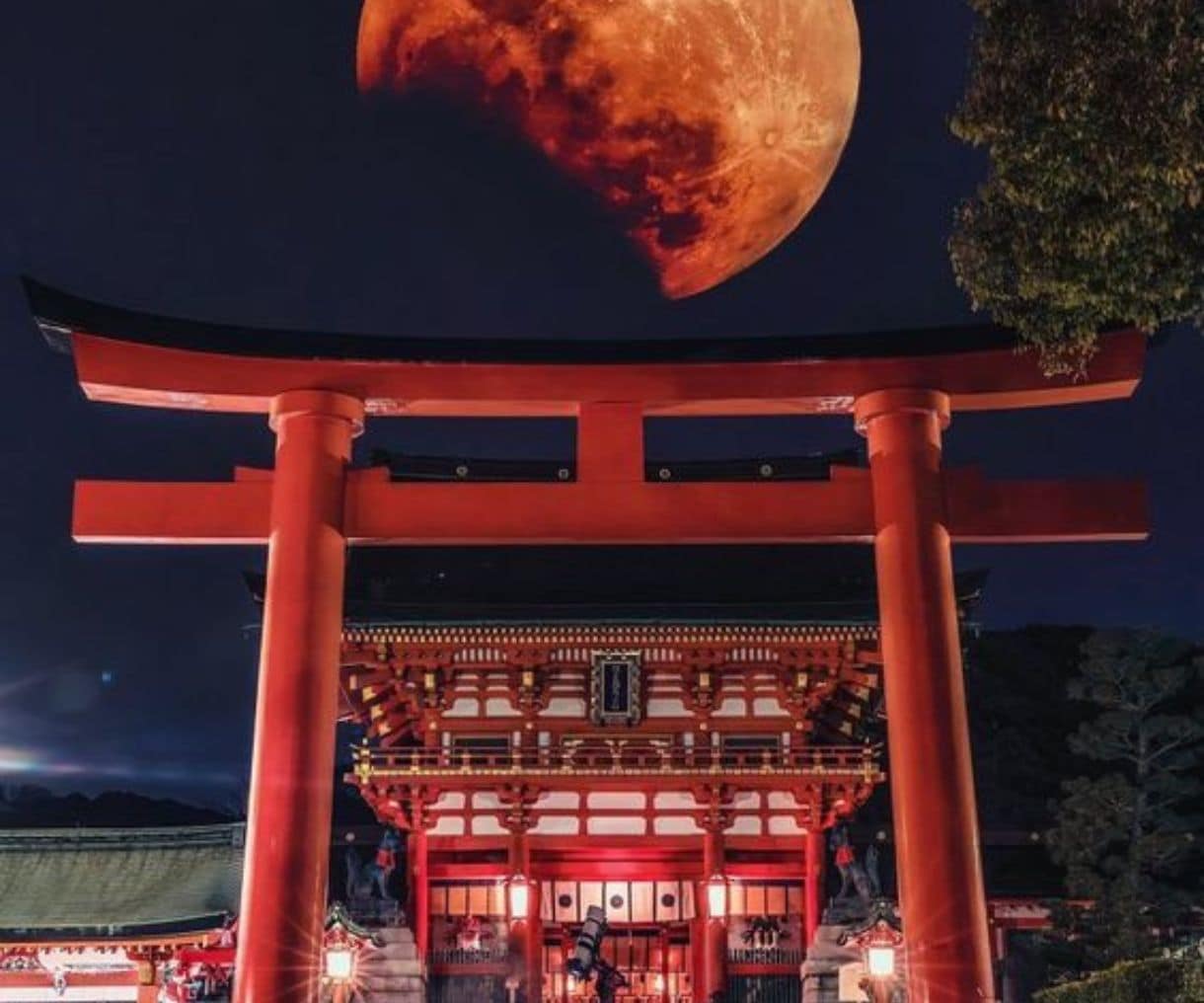 あなたの辛い片想いを【相思相愛の幸せな恋】にします 初回限定価格※あなたの恋の痛み、本気で解決してみませんか？ イメージ1