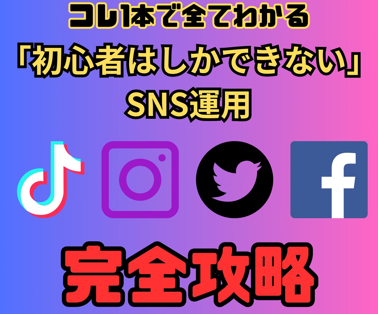 実績者にはできない初心者だけのSNS集客教えます 初心者の方が知っておくべきSNSマーケはこの一本で完結！ イメージ1