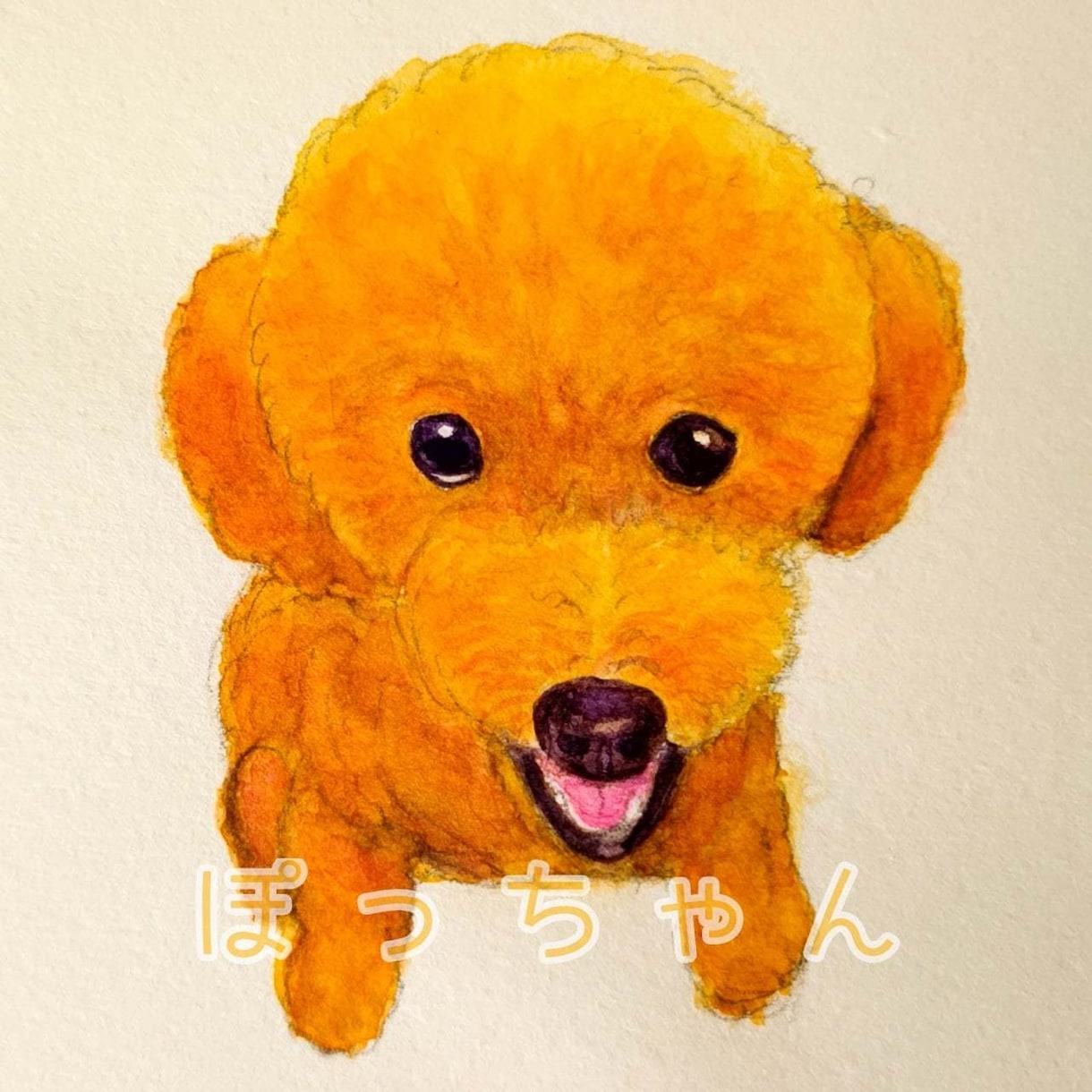 可愛いキラキラペットの似顔絵描きます かわいいペットの似顔絵デザインします！ イメージ4