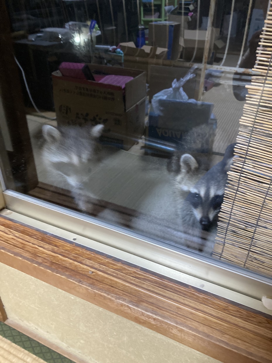ご先祖様、直系の方々をご供養させて頂きます 本当の自分自身に戻っていき、本来の人生を歩んでいきませんか イメージ5