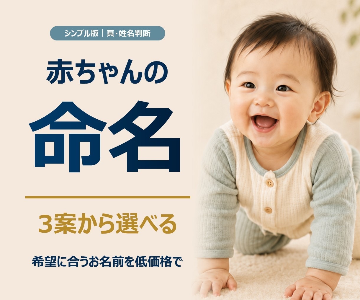 シンプル版｜赤ちゃんの名前を真・姓名判断します 必要項目に絞った低価格の命名入門プラン イメージ1