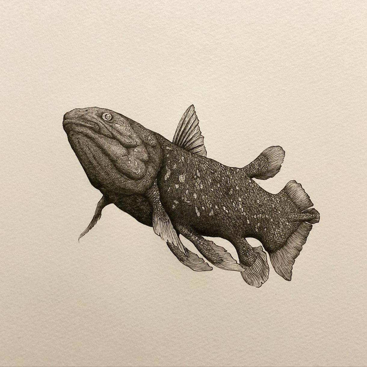 ペン画による繊細なモノクロのイラストを制作します 人、動物、植物、風景、物・・・あなたの大切を一枚の絵に。 イメージ3
