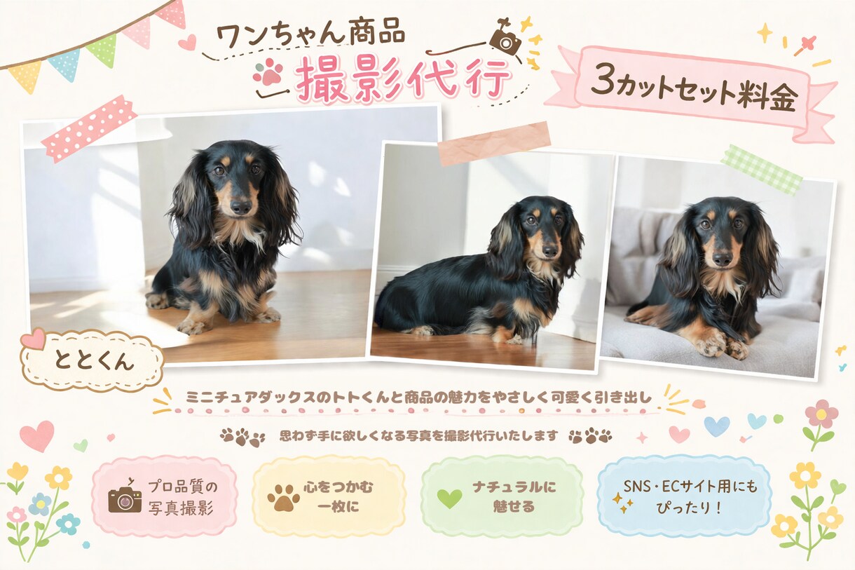 犬用商品の撮影代行します 思わず欲しくなる可愛い一枚をお届け イメージ1