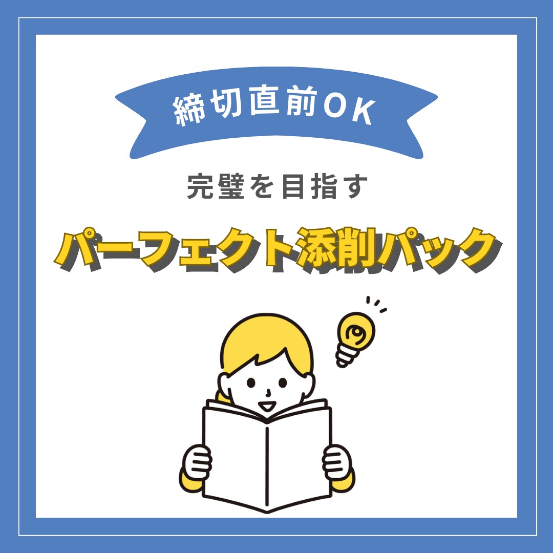 3回の添削で完璧に仕上げます プロの目×3回。完璧を目指す添削パック イメージ1