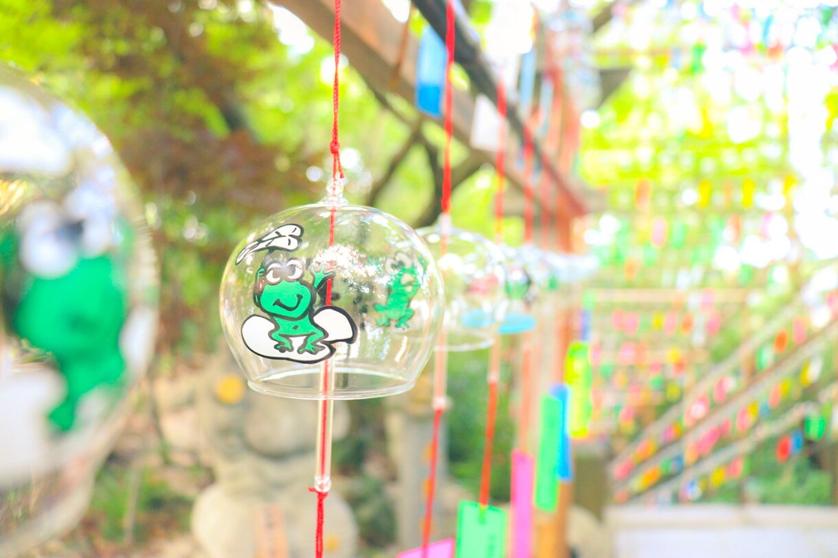 撮影代行で写真撮ってきます 福岡、熊本、佐賀近辺で撮影行ってきます★ イメージ4