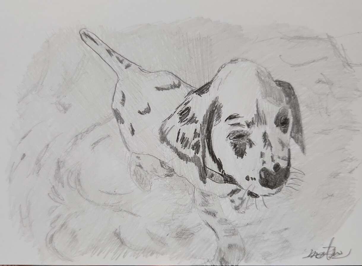 鉛筆で、似顔絵を描きます リアルな、ペットや、人物の鉛筆似顔絵。 イメージ6