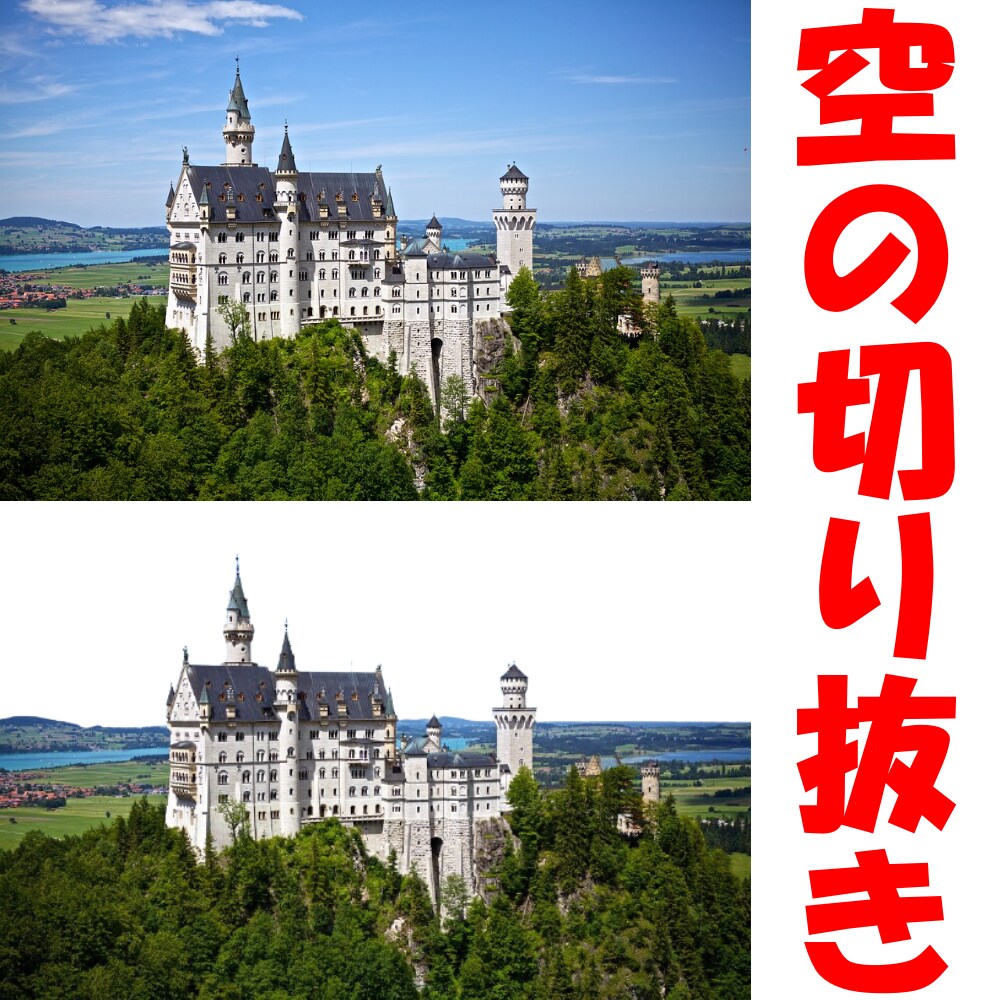 30枚納品／画像＆写真の透過・白抜き仕上げます 背景の透過や白抜き・切り抜きを行います！ イメージ5