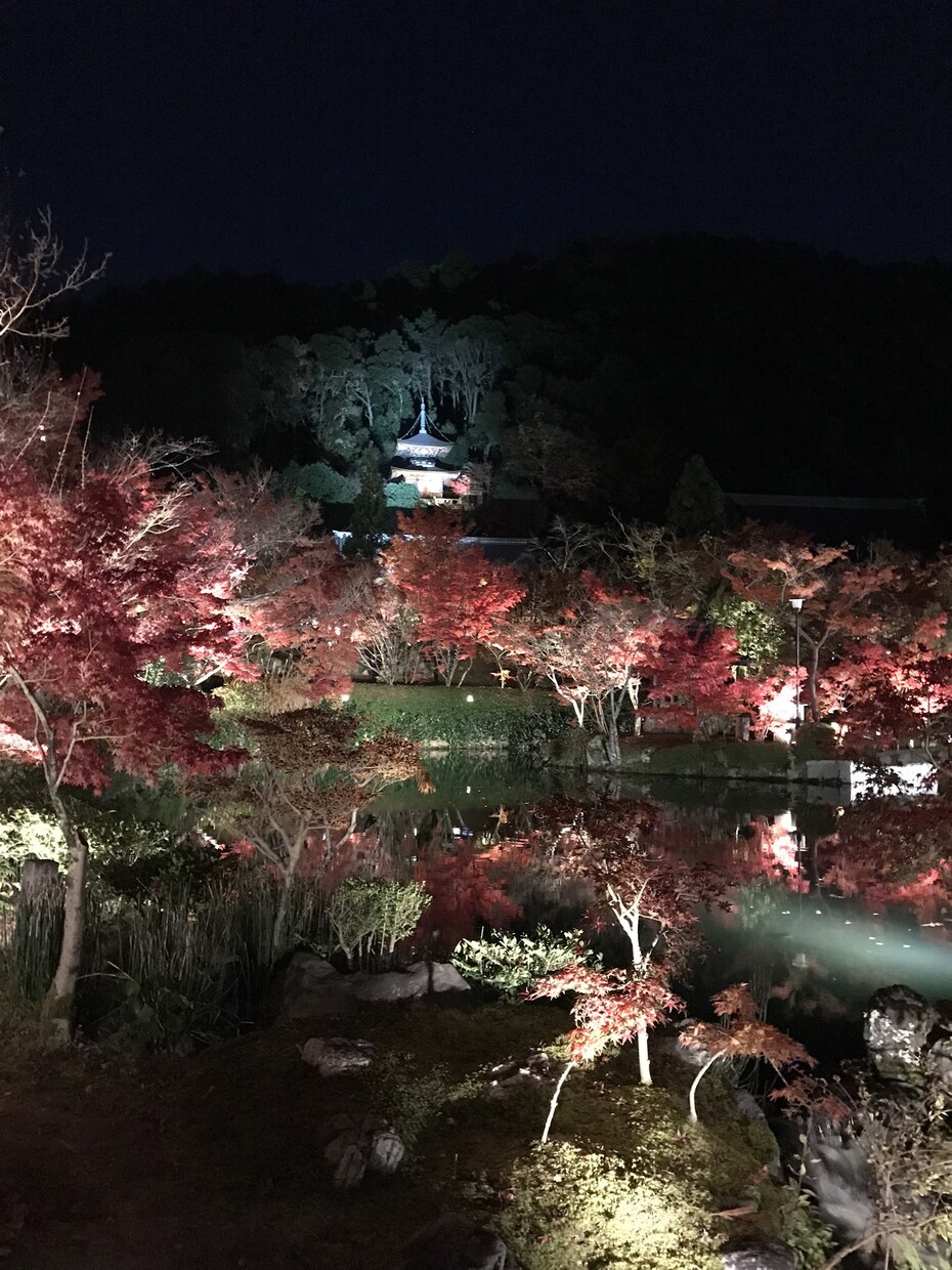縁結び・復縁・どうすれば戻れるかをお教えします お相手の気持ちを透視し、復縁に何が必要かをお教えします イメージ4