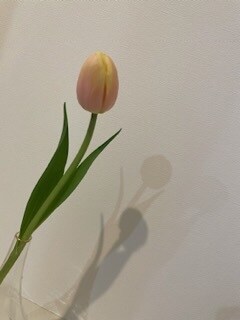 恋愛相談とか悩みとかその他諸々お聞かせ願います 応援！するよ！相談！聞くよ！何でも叫んでください。 イメージ1