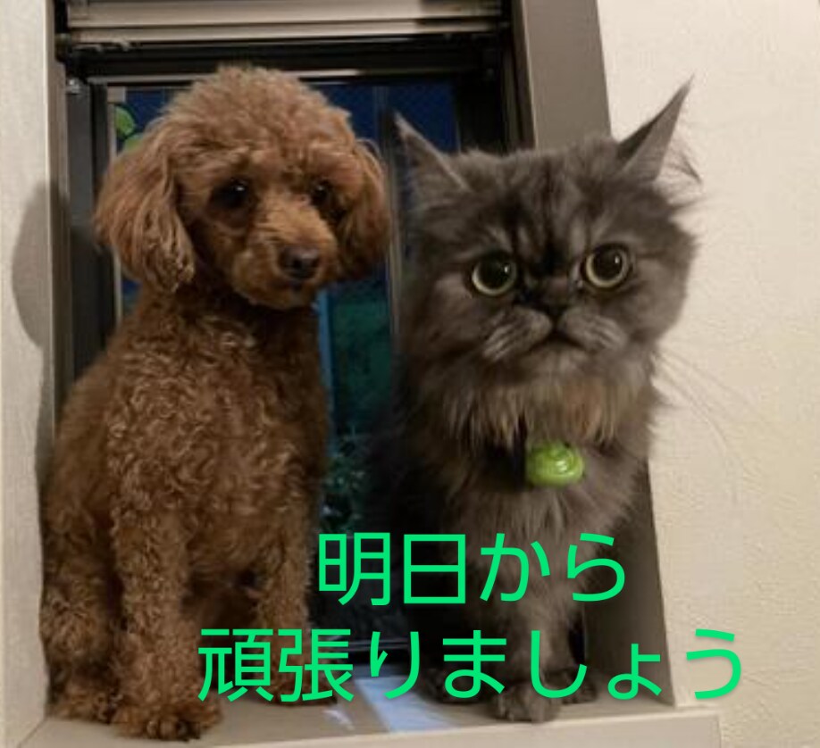 心軽やかに！スッキリして下さい。愚痴お聞きします 気持ちリフレッシュ！ストレス解消タイム。気軽にお話し下さい！ イメージ9