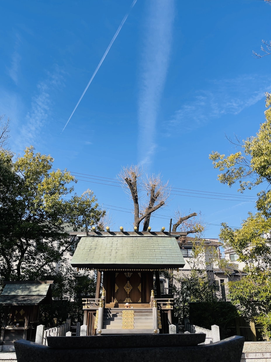 熟練者の巫覡師が呪い（まじない）をお手伝いします 巫覡師が丁寧にサポートする【呪い】施術 イメージ3