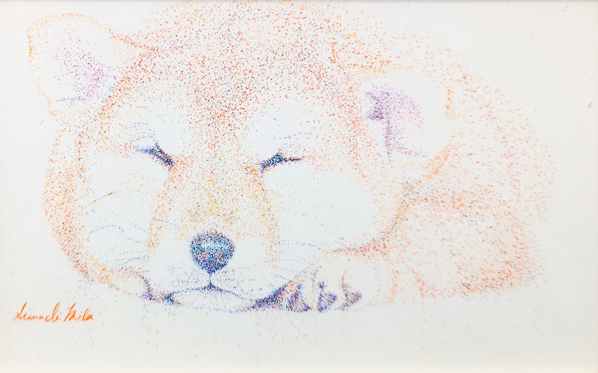 ペットの絵画制作します サイズ15㎝以下でペン画の実物を納品させていただきます。 イメージ1