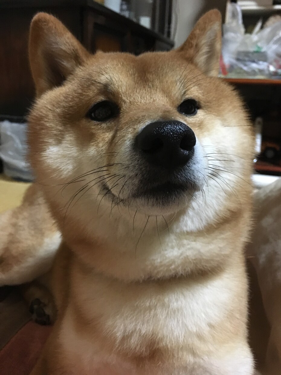 悩み事は、なんですか？私が聴きます 迷ったら、話してみて下さい❗️ イメージ1