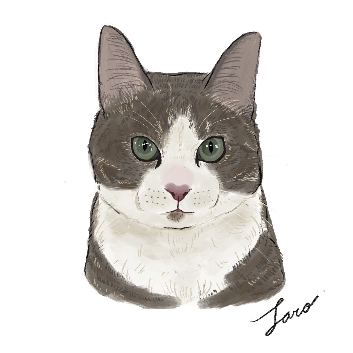 猫ちゃんのイラストをふんわり可愛いくお描きします Cat Portrait Illustration イメージ5