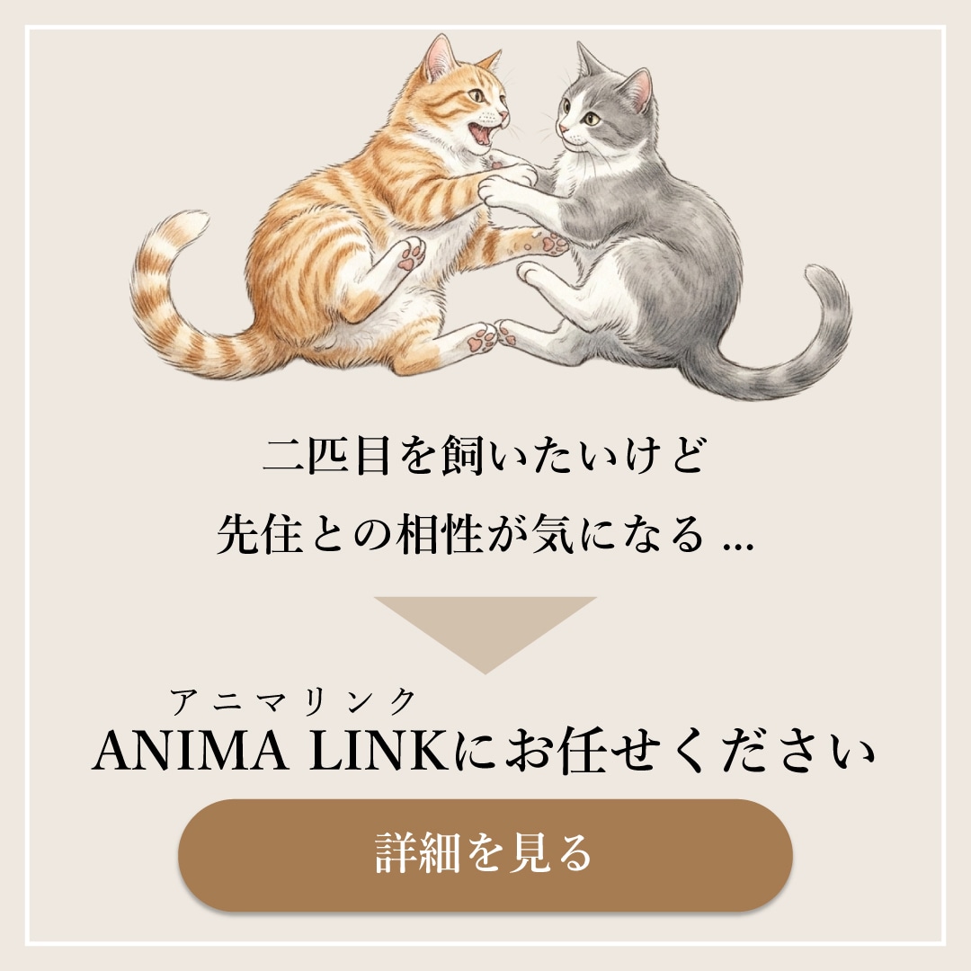 世界観のあるInstagram広告制作します 高級感・コンセプト重視、親しみやすいバナーまで幅広く対応 イメージ6