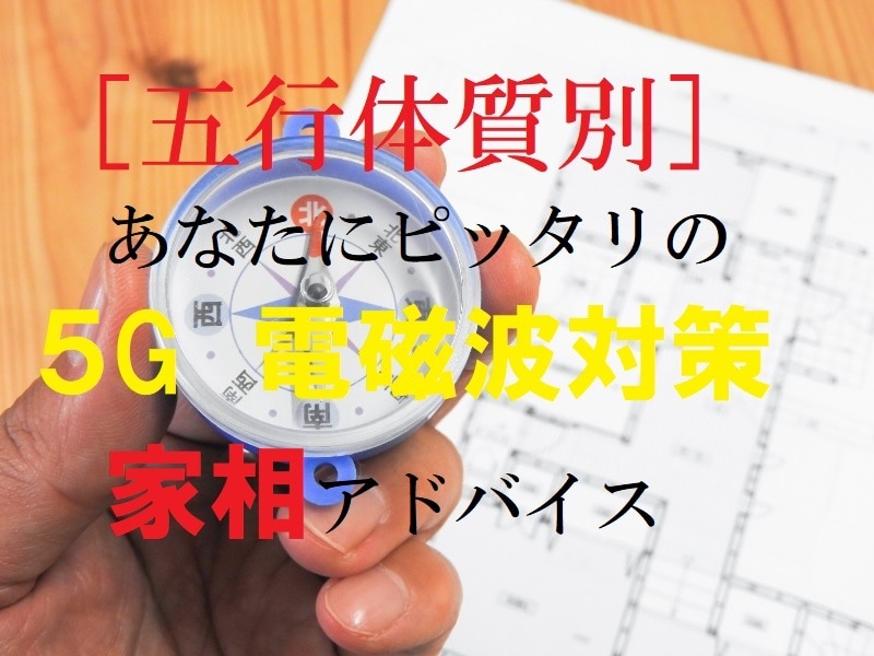 集中力を継続する［体質別］家相アドバイスをします あなたにピッタリのタイプ別「５Ｇ電磁波シェルター」のつくり方 イメージ1