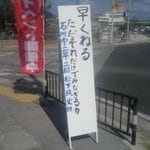 占い、チャネリング、ペットの通訳等致します 「声なきものの声を聴く」が私のギフトです。 イメージ7